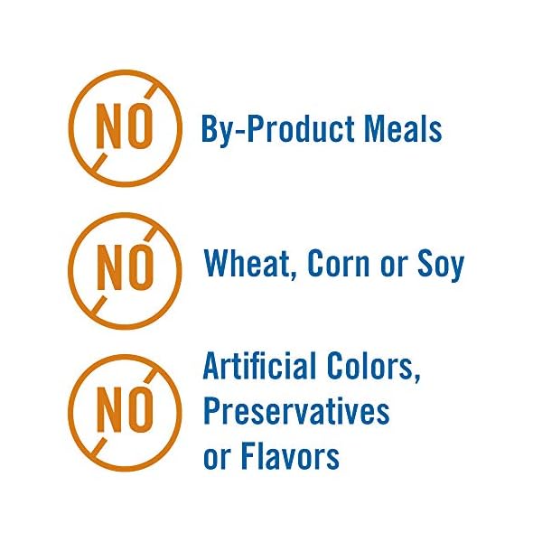 Chicken Soup for the Soul Pet Food Adult Dog Food, Chicken, Turkey