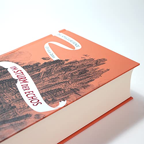 Die Spiegelreisende Band 4 - Im Sturm der Echos