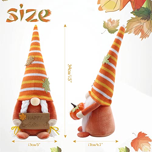 Godeufe Decorazioni Autunnali Gnomi, Autunno Gnomo...