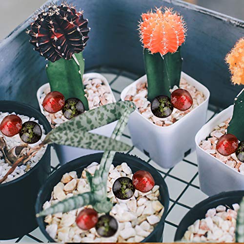 Mushroom Decor Generic 2Pcs Ceramic Mushroom Figurine Decorative Plants Stakes Accessories Lawn Ornaments Statue For Outdoor Garden Pots Decorations Cake Decorating #TOP7