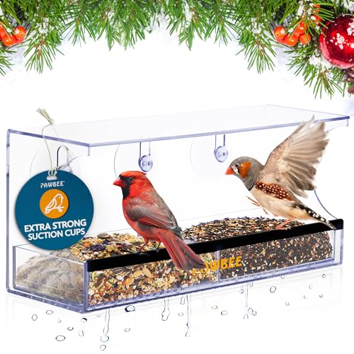 PAWBEE Window Bird Feeder with Strong Suction Cups and Drain ...