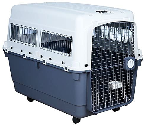 plastic pet carrier