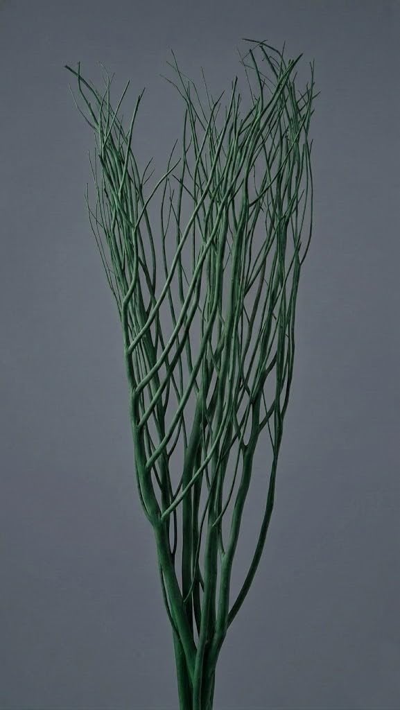 Dried Green Curly Willow Stems for Vase, Natural Wood Diffuser Sticks, Home, Office, Wedding, Party and DIY Crafts Decor-image-1