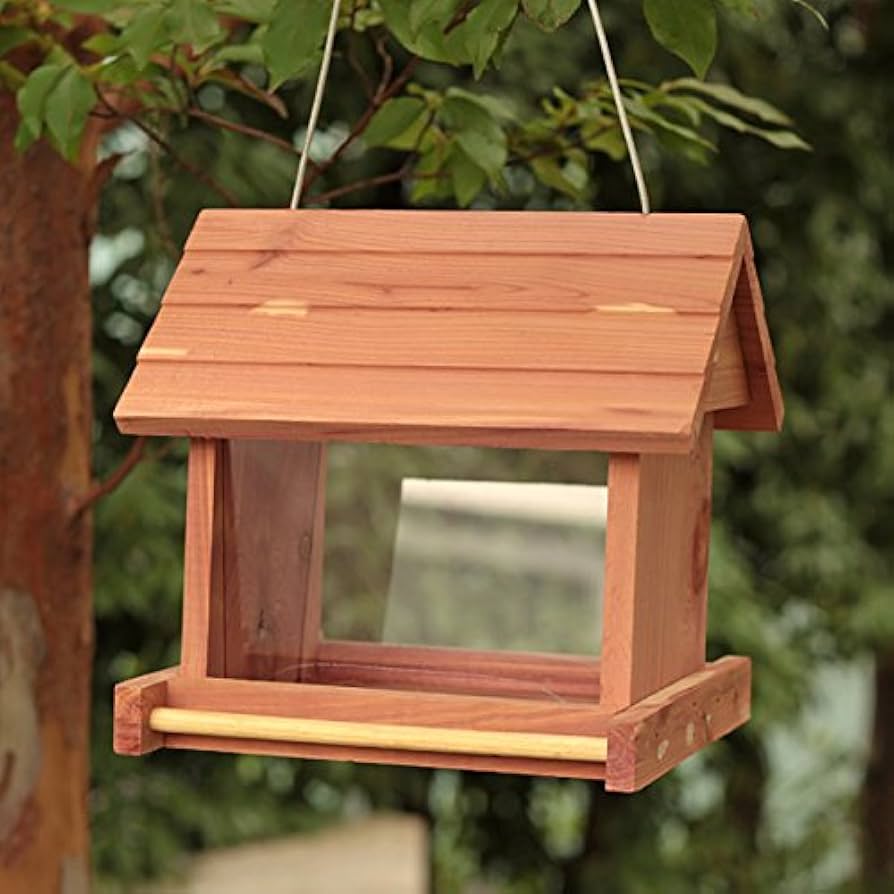 Amazon.co.jp: クオリス 野鳥の餌台 NO4 : ペット用品