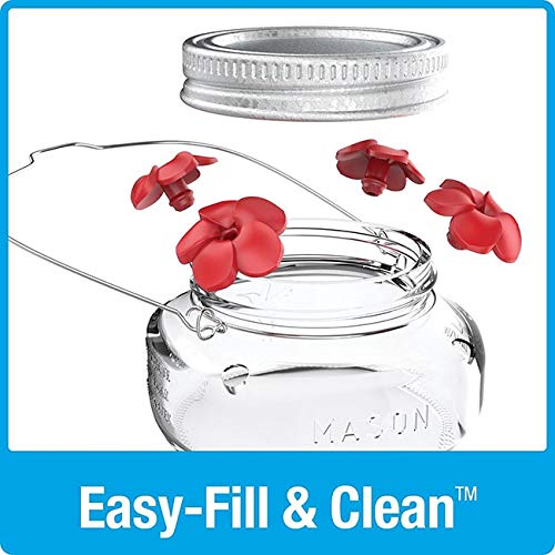6 Nature's Way Mason Jar Hummingbird Feeders, 6 oz.6