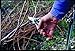 FELCO F8 Pruning Shears – 8.3