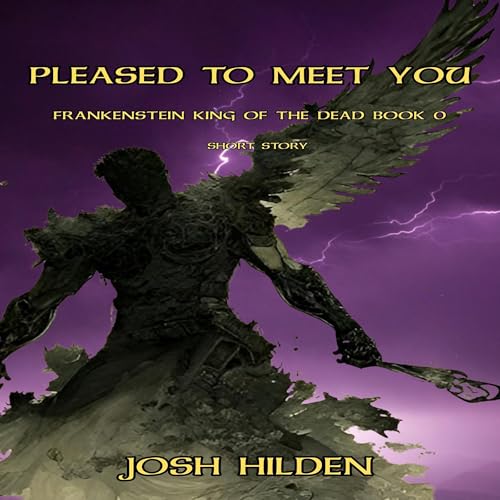 Pleased to Meet You... cover art
