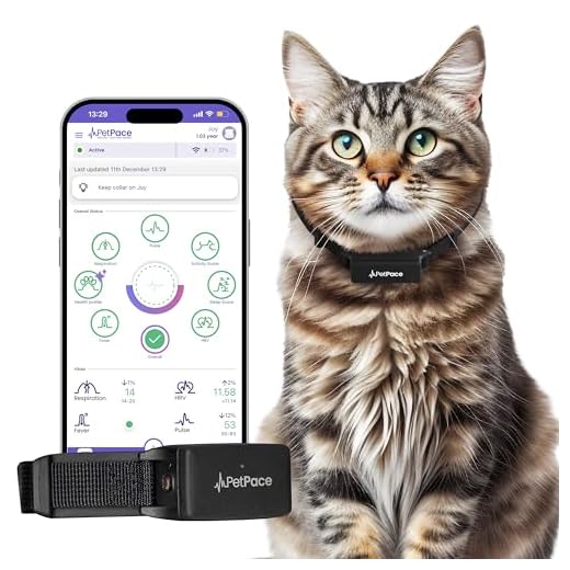 PetPace V3.0 AI Cat Health Monitor