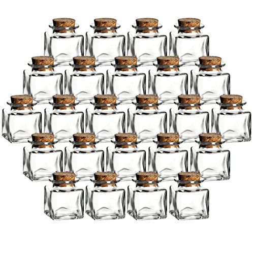 gouveo Lot de 24 pots à épices carrés 50 ml avec bouchons en liège – Petits pots en verre pour herbes et épices (KGE050PK)