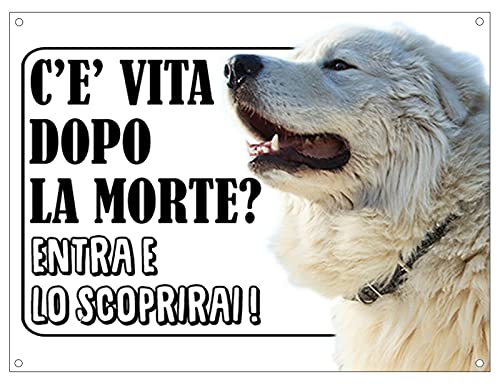  CARTELLO ATTENTI AL CANE - MAREMMANO c\'è vita dopo la morte, entra e lo scoprirai - Con Adesivo in Vinile e Pannello in Forex (Pannello 5mm Stampato)