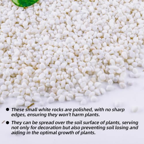 Image of CJGQ 1 /4 inch Small White Rocks for Plants,Potting,Succulents Aquarium Fish Tank Garden Vases Decorative Pebbles Gravel Rocks Stones 45lb