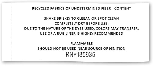 Miniatura 10 de DII Chindi Home Collection Alfombra de trapillo de área multicolor tejida a mano, 4 x 6 pies, color crema