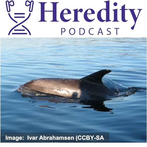 Page de couverture de White-beaked dolphin conservation genetics