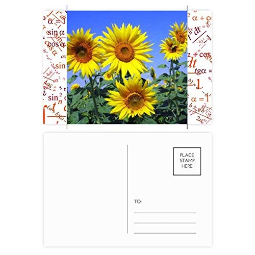 Carte postale tournesols bleu ciel multicolore DIYthinker 20pcs