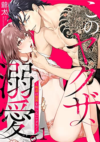 このヤクザ、溺愛。~極道は限界を知らないケダモノ~(1) (TL★オトメチカ)