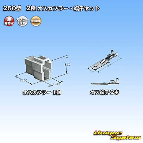 Amazon.co.jp: 矢崎総業 250型 CN(A) 2極 オスカプラー・端子