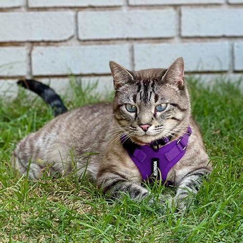 Image of Voyager Escape-Proof Step-in Lock Cat Harness & 5ft Neoprene-Handle Leash Set All-Weather Mesh with Reflective Stitching for Small to Large Cats by Best Pet Supplies, Purple, XXS