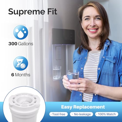 Image of ICEPURE 836848 Replacement for Fisher & Paykel 836848 Refrigerator Water Filter, Compatible with 836860,WF296,E522B, PS2067635, Pack of 2