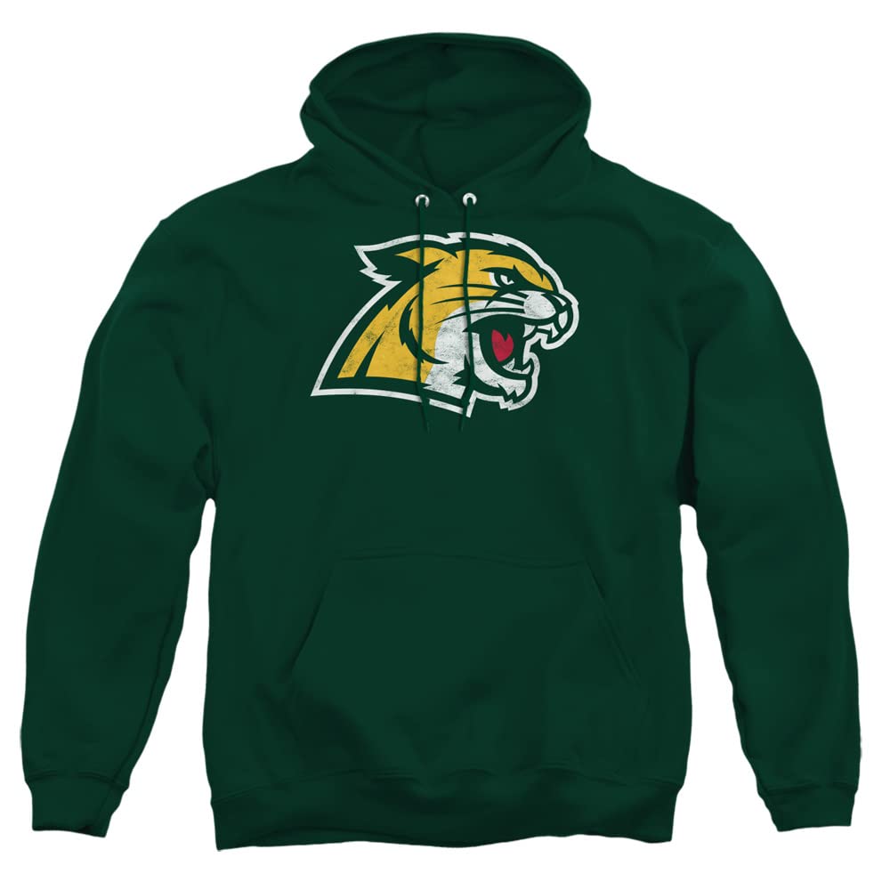 LOGOVISION Official Collegiate Distressed Primary Logo Adult Pullover Hoodie Collection — view 32