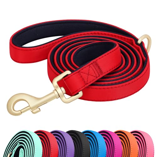 Didog 5FT Colorful Nylon Dog Leash with Soft Full-Length Padding Lightweight and Durable Pet Leash for Small Dogs Red S