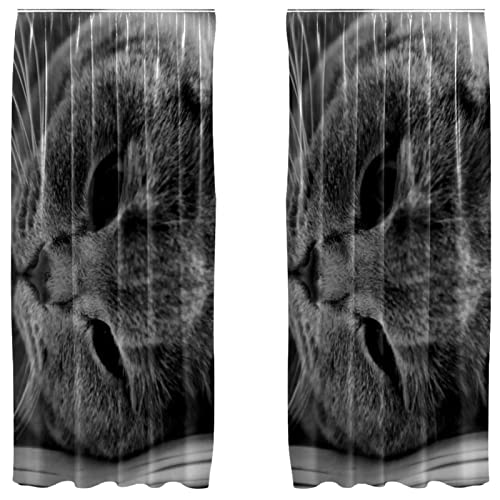 Cortinas opacas de microfibra para el cuarto de los amantes de los gatos 2