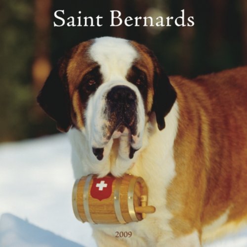 Saint Bernards 2009 Square Wall Calendar: NOT A BOOK: 9781421637716 ...