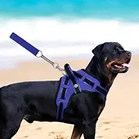 Coleira Peitoral Guia com Amortecedor Peiteira Para Cachorros Fortes(ONÇA,G)