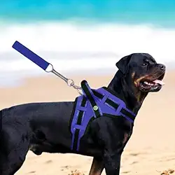 Coleira Peitoral Guia com Amortecedor Peiteira Para Cachorros Fortes(ONÇA,G)