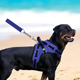 Coleira Peitoral Guia com Amortecedor Peiteira Para Cachorros Fortes(ONÇA,G)