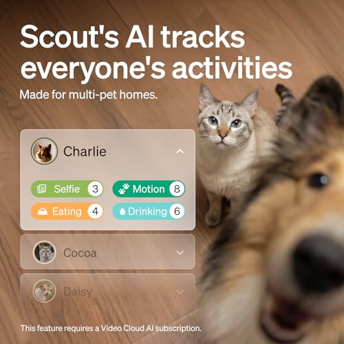 Image of PETLIBRO Cat & Dog Camera with Multi-Pet Recognition, Individual Timelines, Activity Tracking, Smart Summaries, Indoor AI Pet Camera