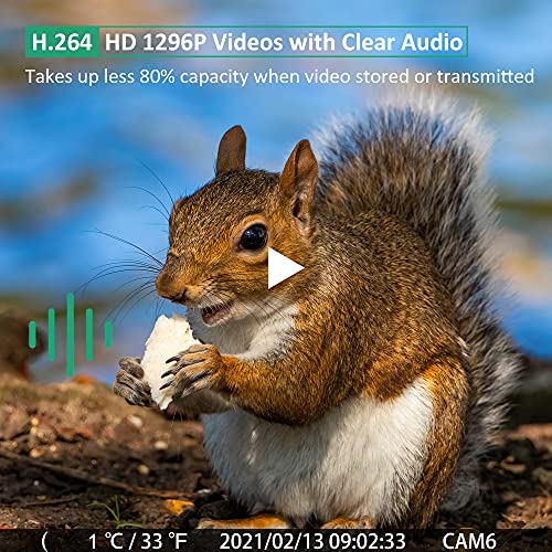 GardePro E6 Wildkamera WLAN Antenne 24MP 1296P mit Bewegungsmelder Nachtsicht No Glow Infrarot 940nm LEDs IP66… – Bild 6