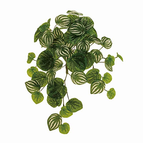  A[eBtBVt[  yy~AJy[^oC O[ t̒ 5~8× 46× 35cm FG008707-zzz 1{