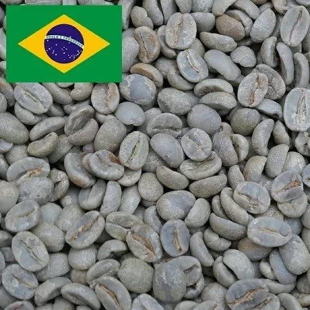 R[q[ 1kg uW No2 NC[VR QO[h R