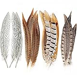 plumas faisanes mercadolibre El paquete contiene: 20 plumas surtidas en 4 estilos, que cumplen con sus diversos propósitos.