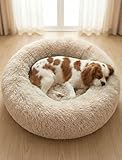 Donut Dog Beds