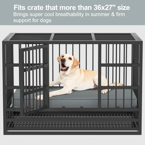 Taweret PM-L Anti-Scratch Dog Bed thumb #4