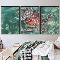 3 Piece Framed Canvas Wall Art Turtle Under The Surface Canvas Prints Home Artwork Decoration for Living Room,Bedroom - 16