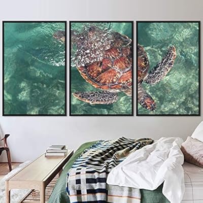 signwin 3 Piece Framed Canvas Wall Art Turtle...