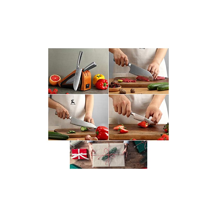 Damascus Kitchen Knife Set with Block, VG10 Damascus Steel, Stain & Rust Resistant, Knives Set for Kitchen Included Chef Knife, Santoku Knife, Paring Knife