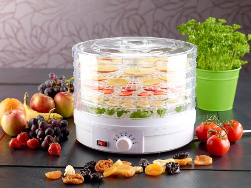 Rosestein Essicatore per Alimenti con Regolatore a...