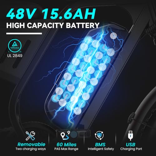 1500W Adult Electric Fat Tire Ebike