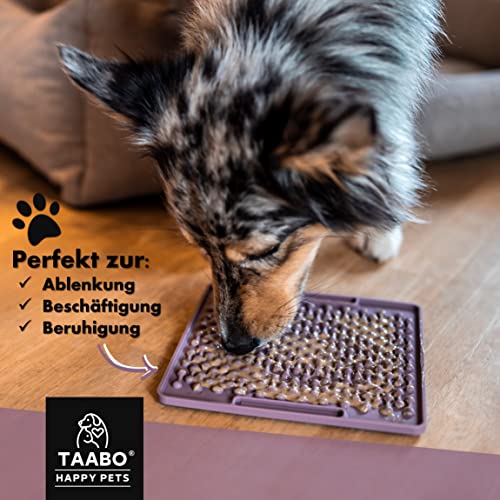 TAABO - Leckmatte inkl. Spatel mit 64 Saugnäpfen für Hund & Katze aus lebensmittelechtem Silikon (20x20cm) - Schleck-Matte zur Beschäftigung - Hunde & Katzen Leckerli-Matte BPA-Frei, Spülmaschinenfest