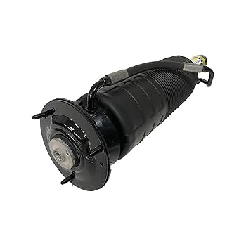 w220 Amazon.com: TecEr A2203208413, A2203208613 Compatible with