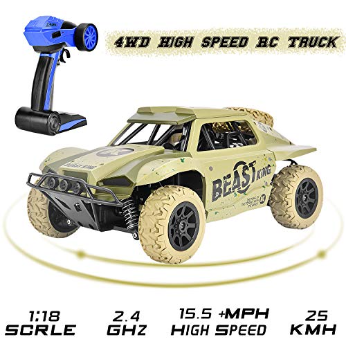 rainbrace remote control car