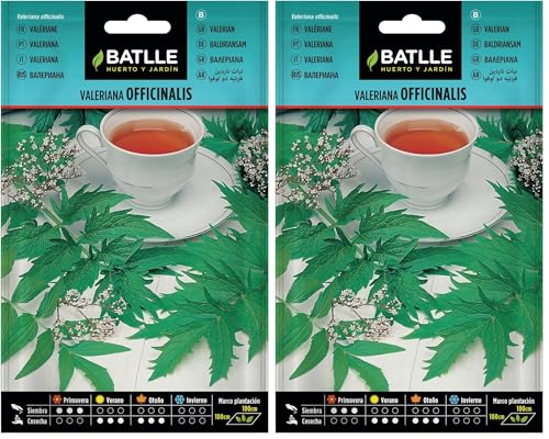 Semi di erbe di Batlle - Valerian Officinalis (Seeds - 100cm) (Confezione da 2)