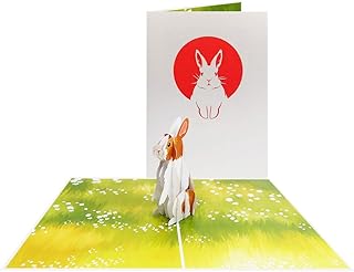 suchergebnis auf amazon de fur hase geburtstag burobedarf schreibwaren
