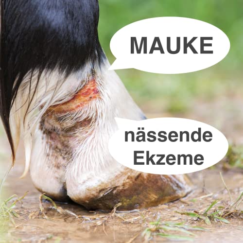 FürDeinTier Skin trocknend | 100 ml Wundschutz- und Wundsalbe | Zinkoxid, Hamamelis, Panthenol, Sheabutter | für alle Tiere geeignet