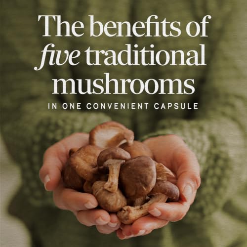 Nature’s Way 5-Mushroom Blend, 1,000 mg Mushroom Blend per Serving, 60 ct - image 2