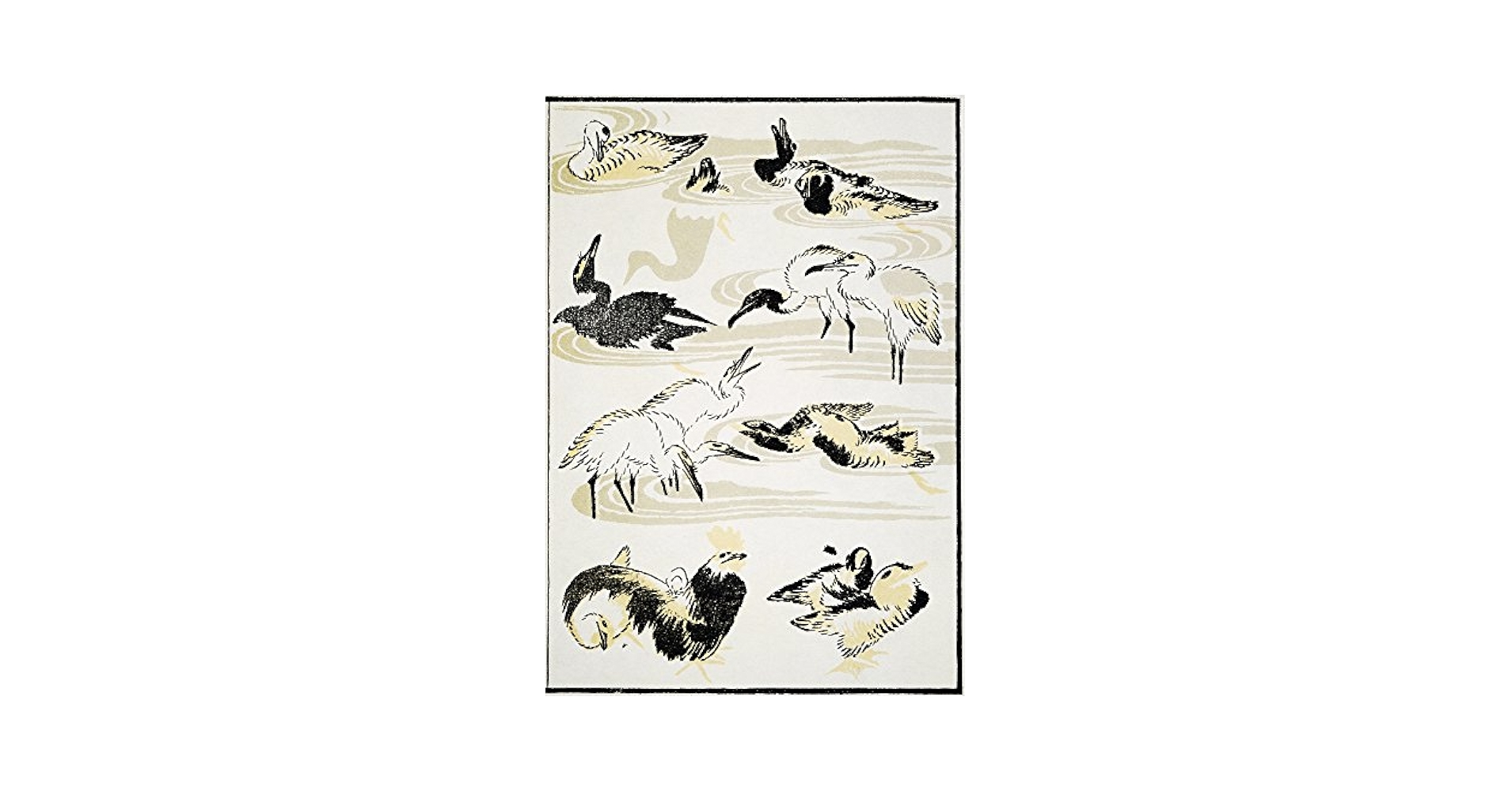 100年前の古書　希少　1923年　Birds and their young 100年前の古書 希少 1923年 Birds and their young 100年前の
