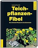  Teichpflanzen-Fibel: Die schönsten Pflanzen für den Gartenteich